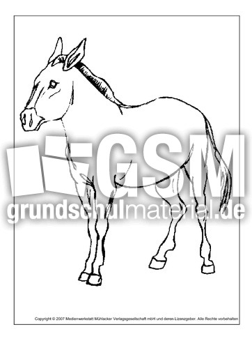 Pferd-2.pdf